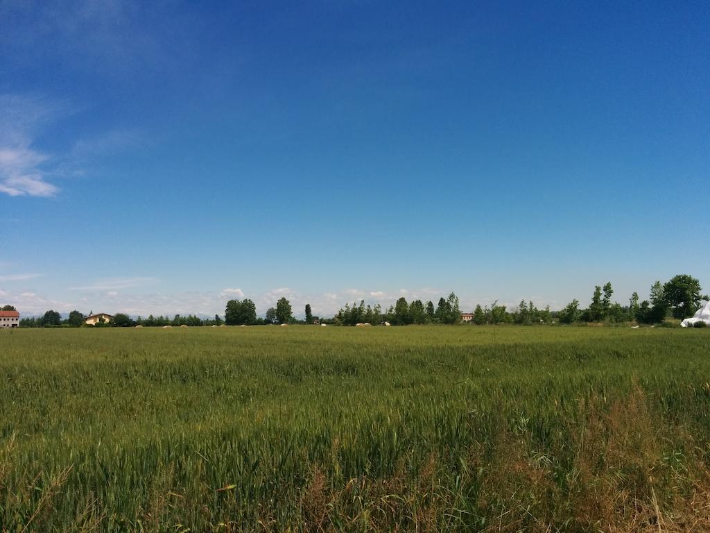 Agriturismo La Chioccia Campagna Lupia Екстериор снимка